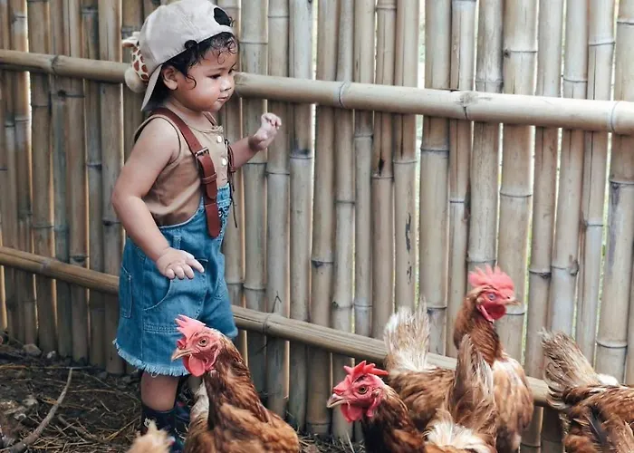 Farm stay Tim Bill Farm - ทิมบิลฟาร์ม ราชบุรี *