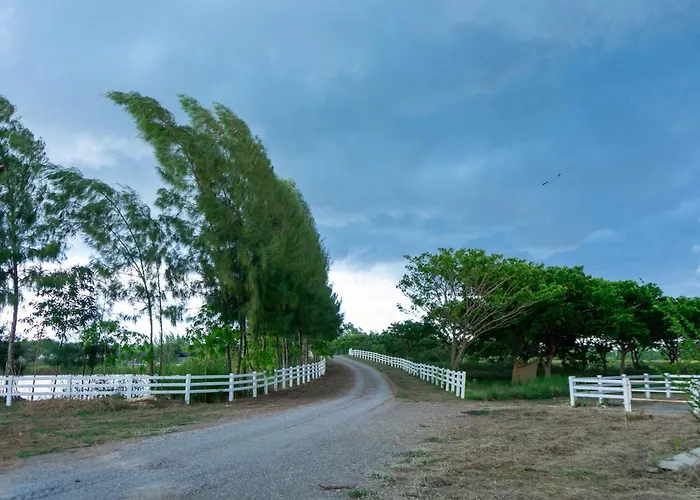 Tim Bill Farm - ทิมบิลฟาร์ม ราชบุรี Ban Don Klang (Ratchaburi)