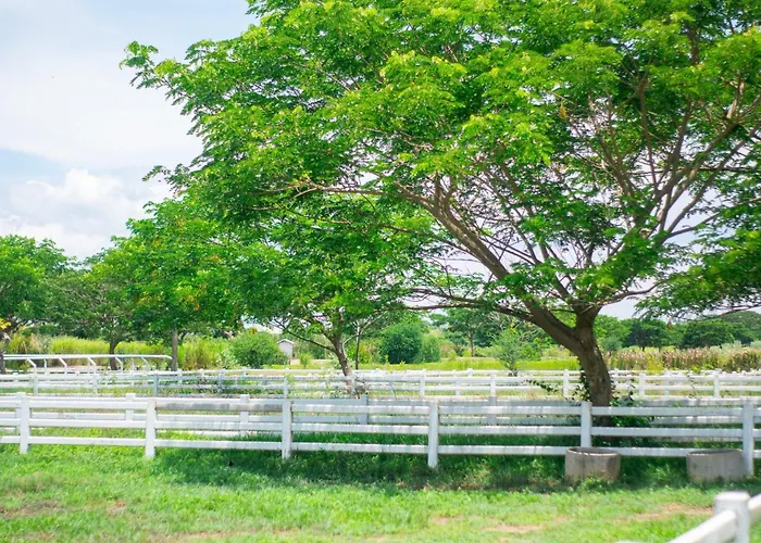 Farm stay Tim Bill Farm - ทิมบิลฟาร์ม ราชบุรี Ban Don Klang (Ratchaburi)